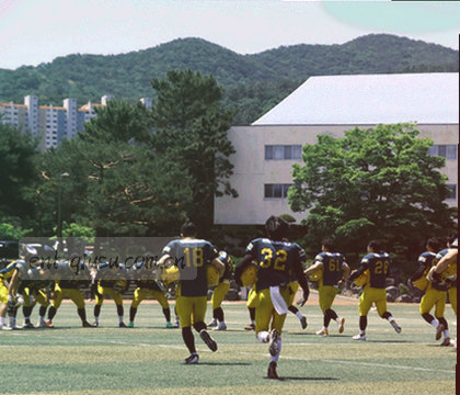 手机登录框下方有一行小字显示版本号3.6.4，用荧光黄括号圈出
